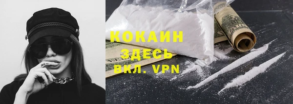 хмурый Абаза