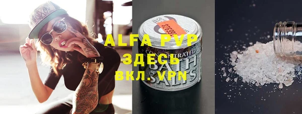 прущие грибы Болотное