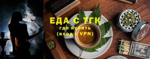 хмурый Абаза