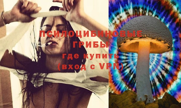 хмурый Абаза