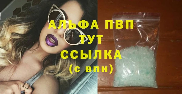 хмурый Абаза